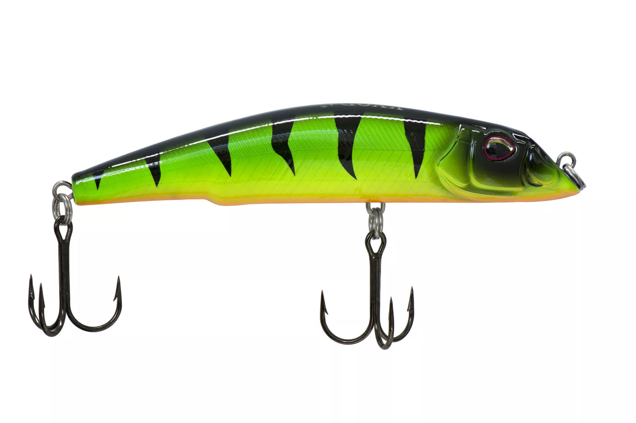 SHARK Minnow