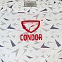 Фото палатка куб "condor" зимняя утепленная 2,0 х 2,0 х 2,15  белый камуфляж