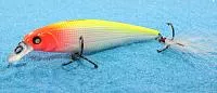 MID Minnow